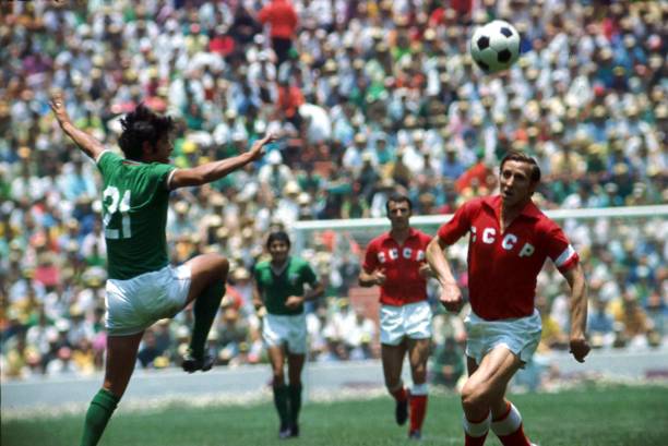 结合网前截 结合网前截